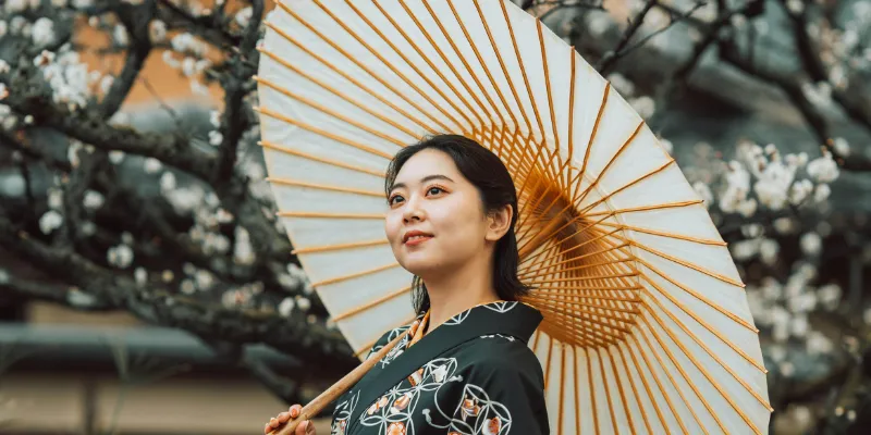 Honeymoon in Japan - cherry blossoms and Mount Fuji